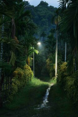 Solar streetlight in Raikos shows the way home