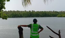 A member of the PKP team looks out across Rugen Harbour during a trip to Sola4Skuls project sites